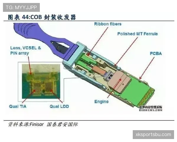 G组赛前形势深度解读 G组赛前形势深度解读